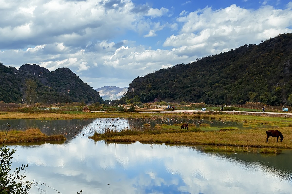普者黑的山水田园 · 菜花菁