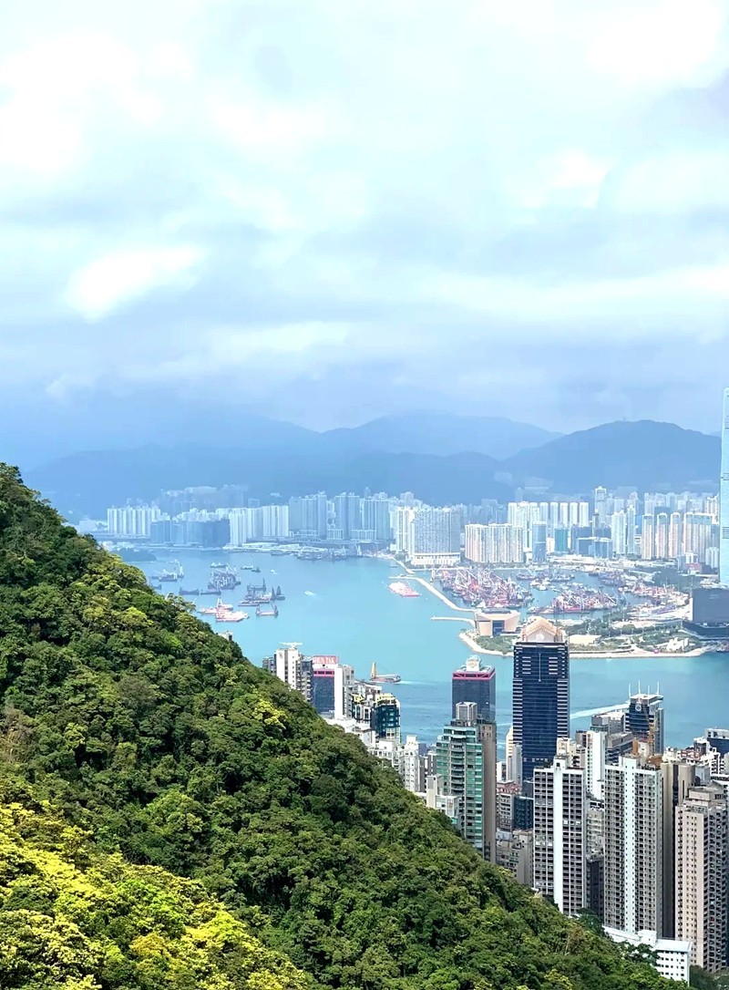 太平山--维多-利-亚湾