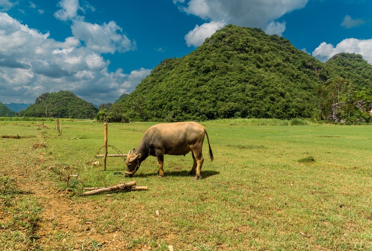 彩云之南~普者黑