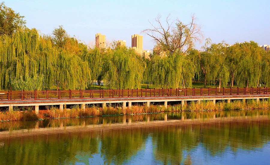 《不老松：纪实摄影》大美沧州系列報道：大运河畔之秋色！