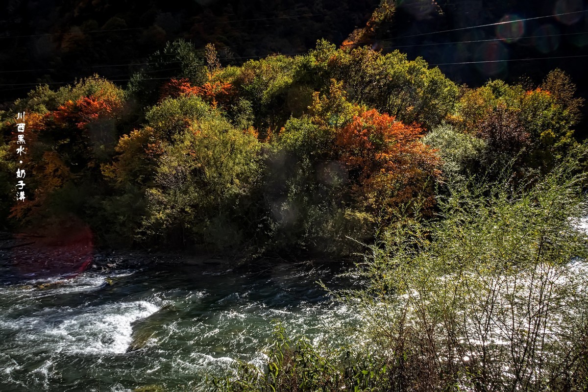 川西黑水 · 深秋中的奶子沟（3）