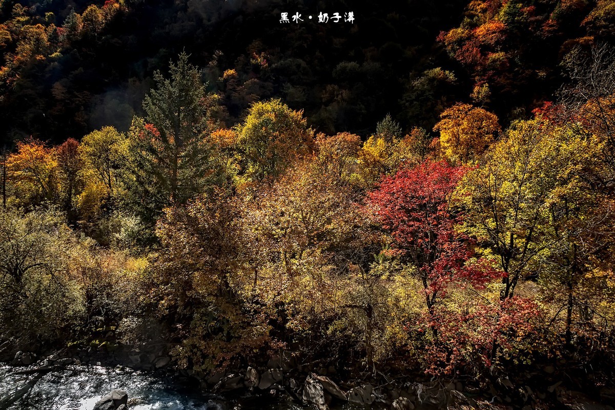 川西黑水 · 深秋中的奶子沟（3）