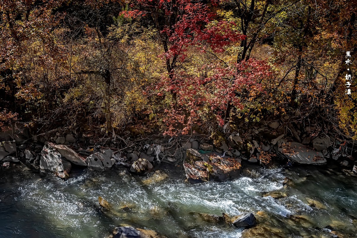 川西黑水 · 深秋中的奶子沟（3）