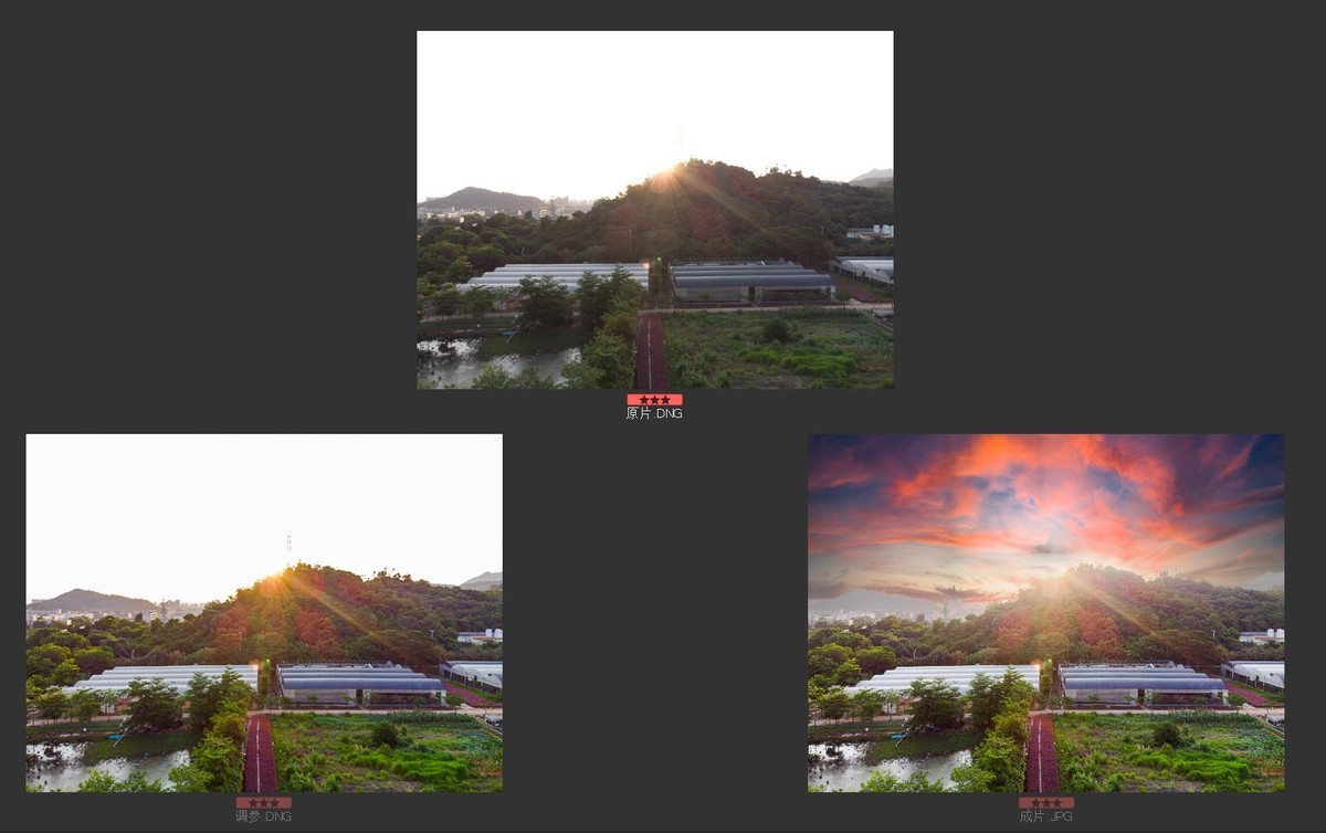 高空视角---番外