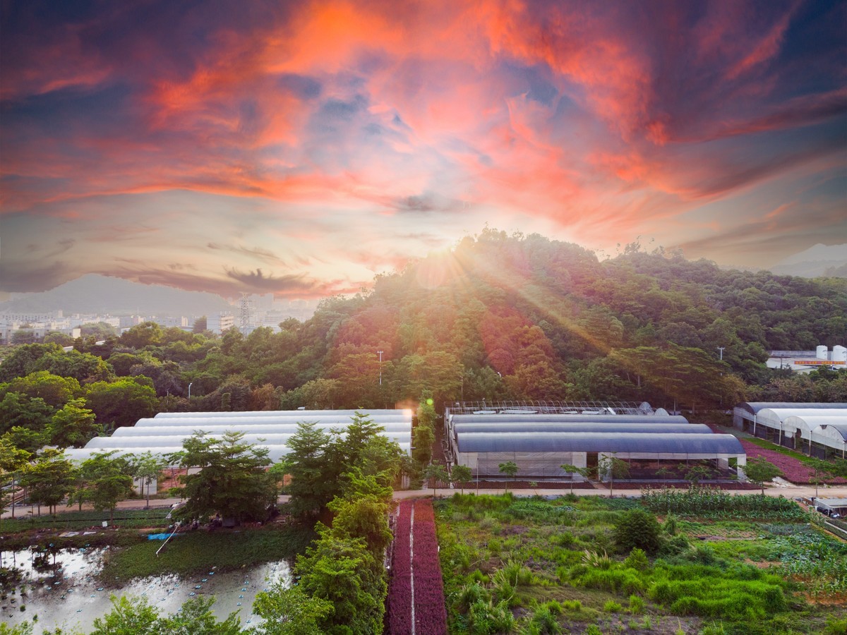 高空视角---番外
