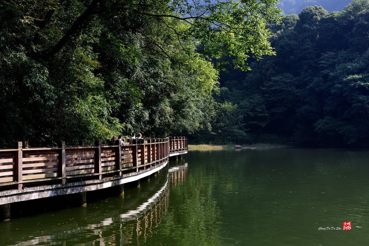 盛夏游拍青城山（二）
