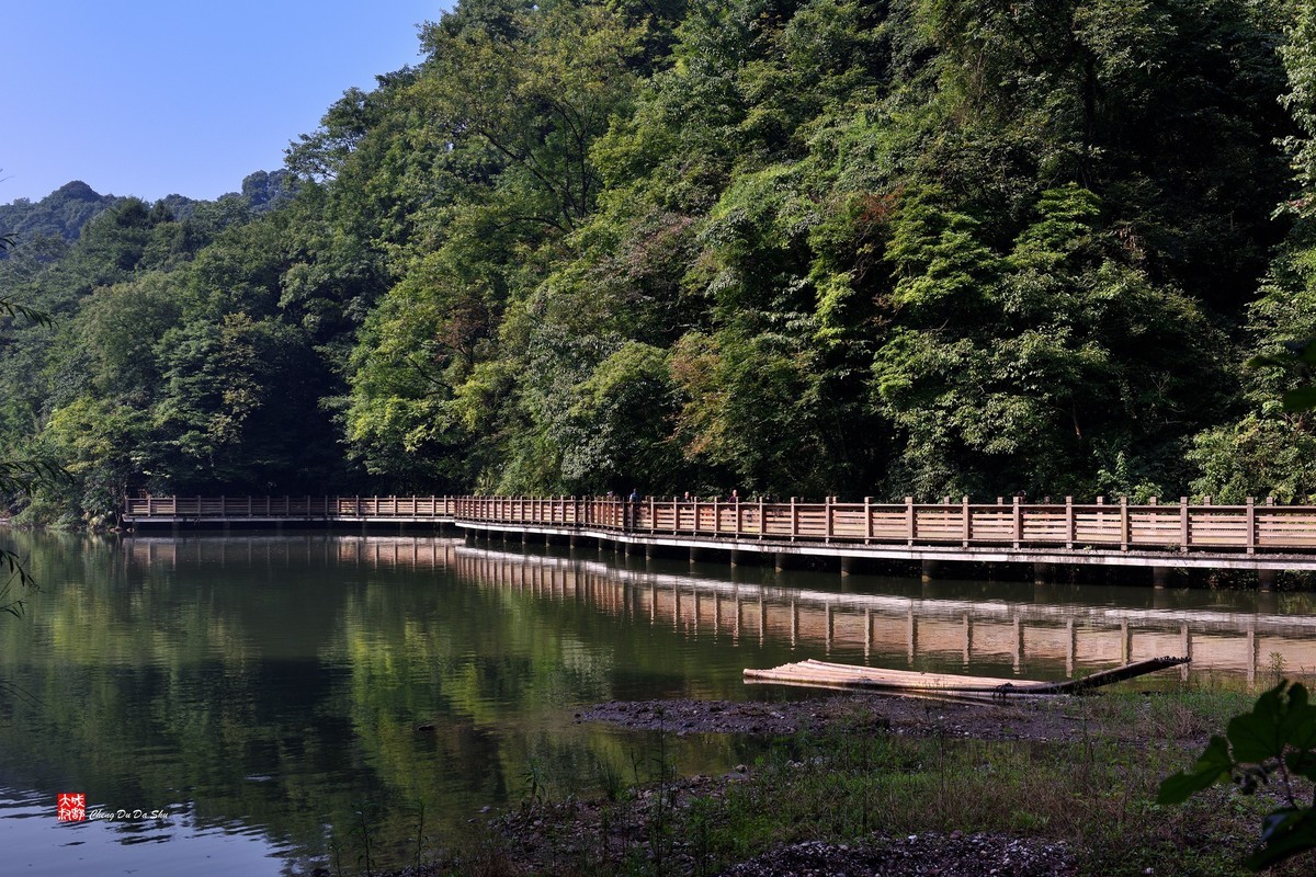 盛夏游拍青城山（二）