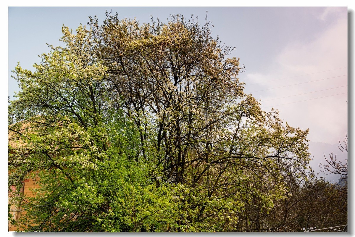 2023云南行一一阿者科村2