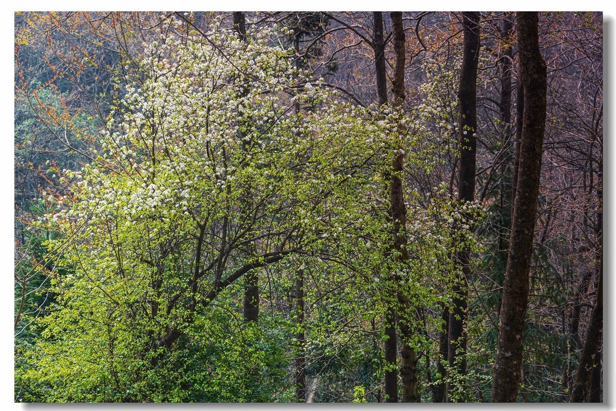 2023云南行一一阿者科村2