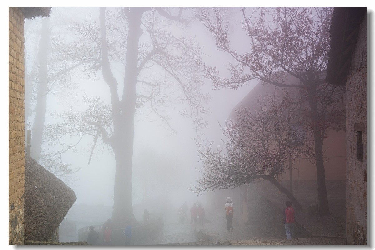 2023云南行一一阿者科村2