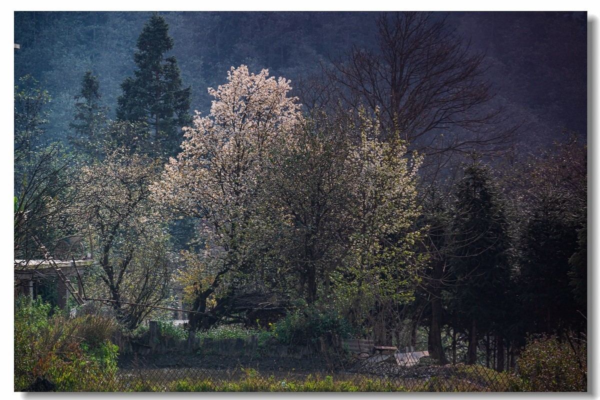 2023云南行一一阿者科村2