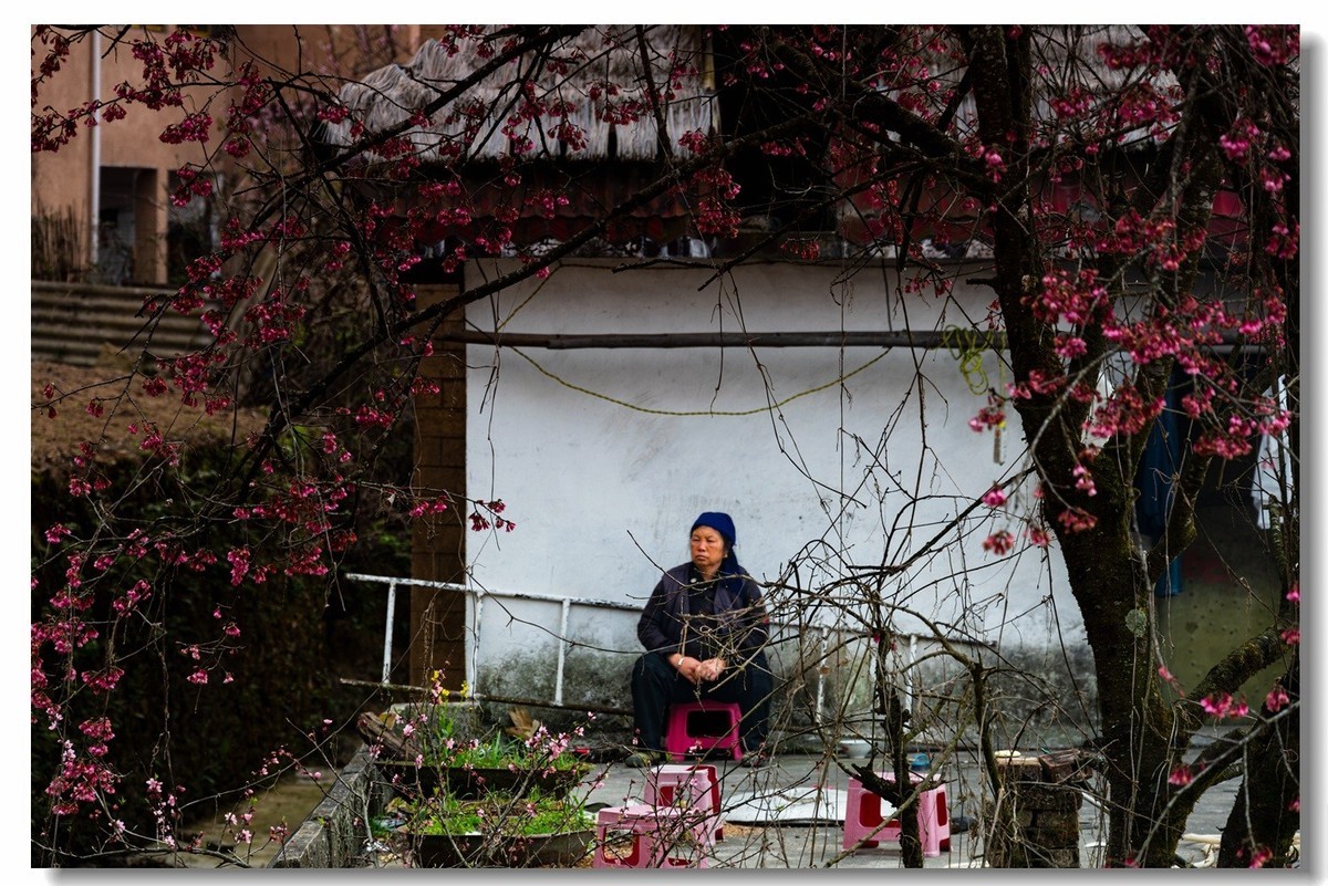 2023云南行一一阿者科村2