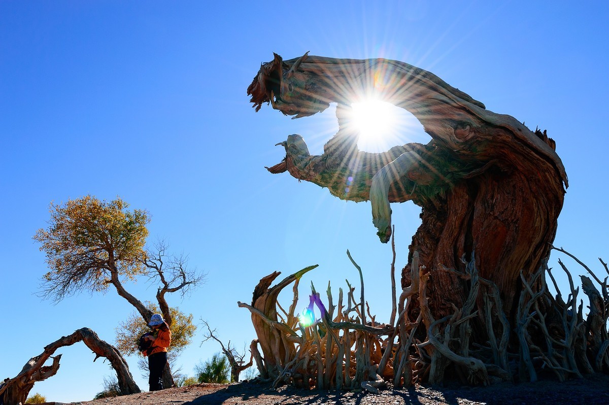 五彩斑斓 深秋暮色