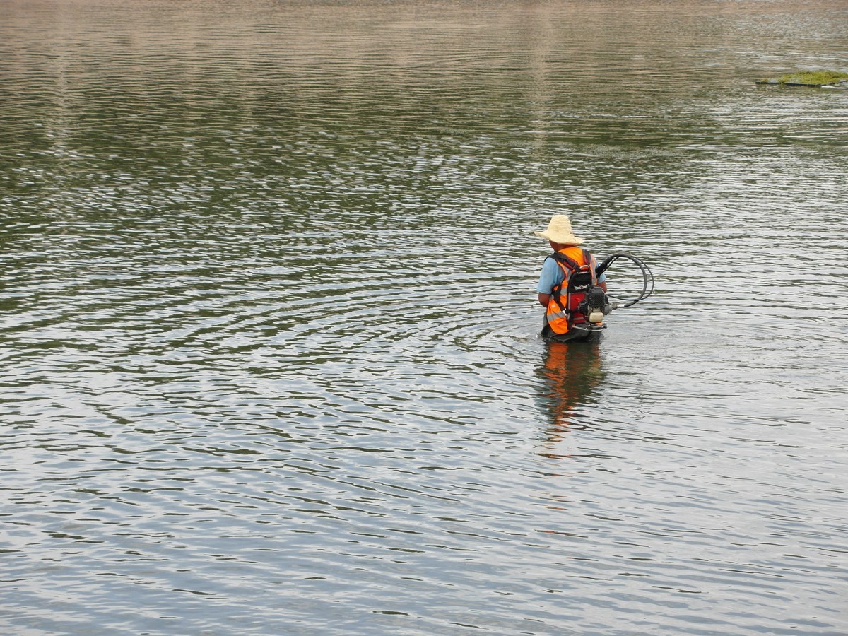 天马湖清理河道的人