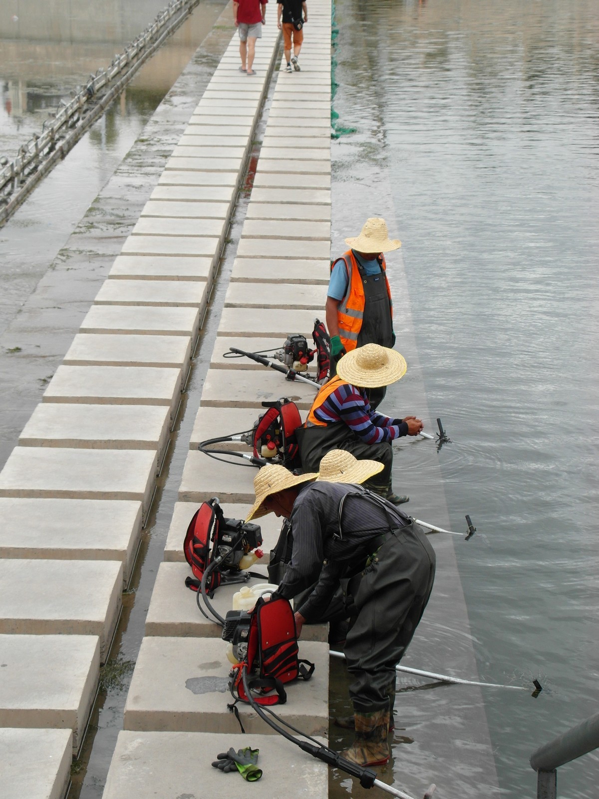 天马湖清理河道的人