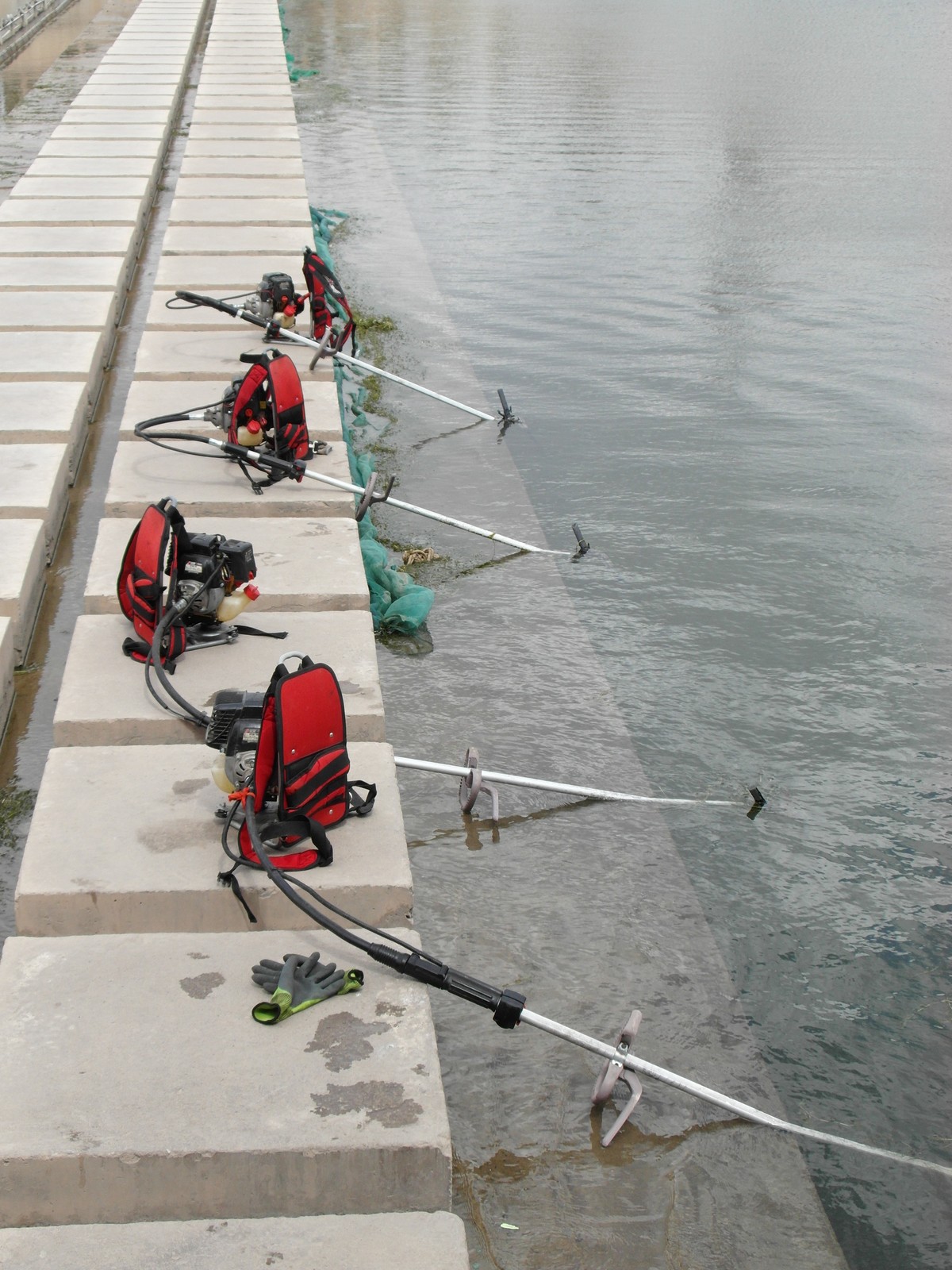 天马湖清理河道的人