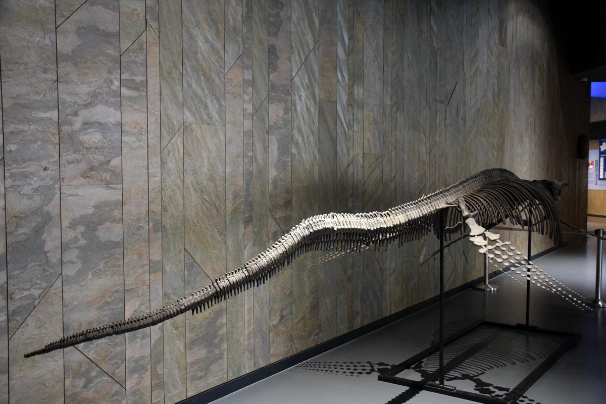 2023夏 黔赣鄂渝川（16）贵州省博物馆