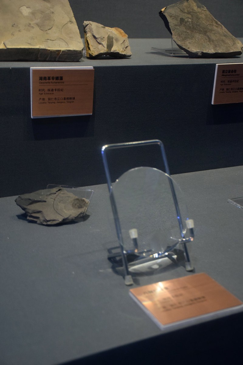 2023夏 黔赣鄂渝川（16）贵州省博物馆