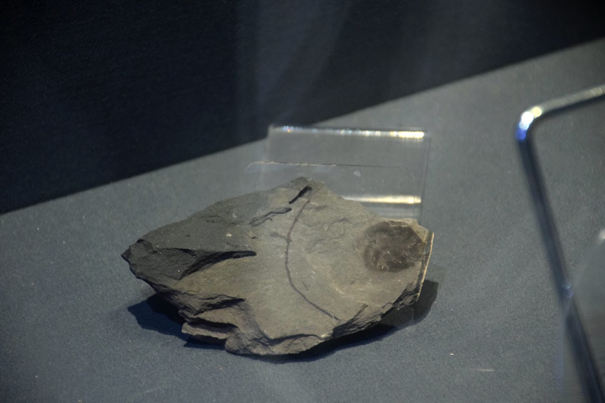 2023夏 黔赣鄂渝川（16）贵州省博物馆