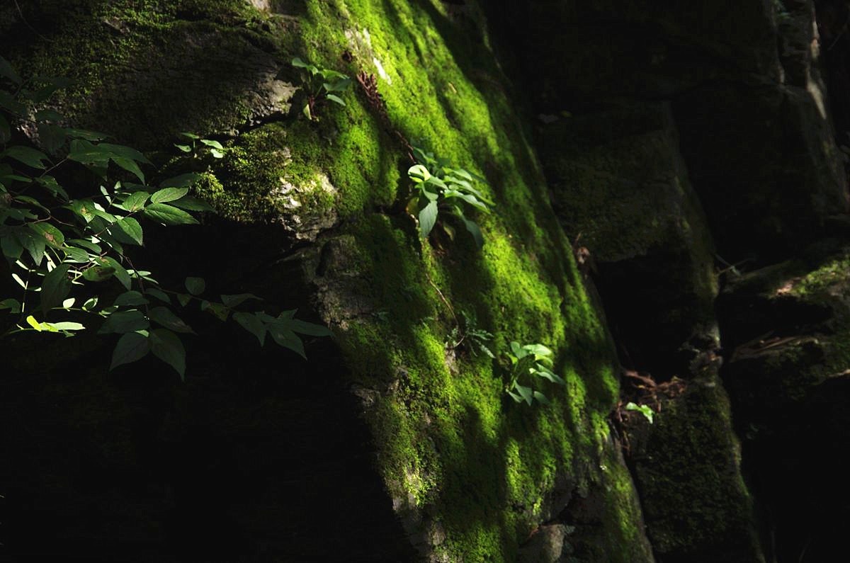 江苏盱眙第一山游记-5