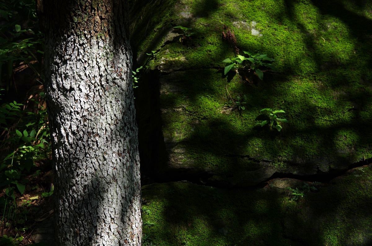 江苏盱眙第一山游记-5