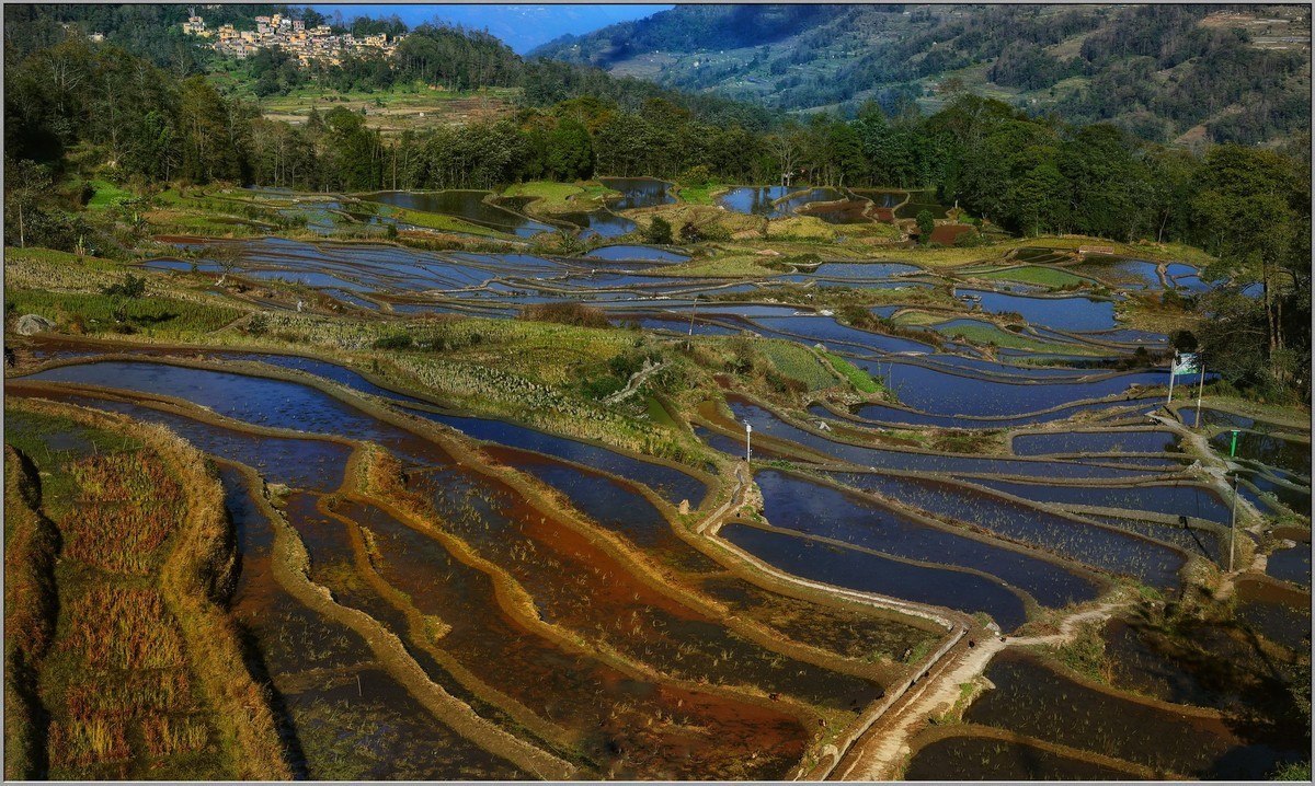 云南梯田小记
