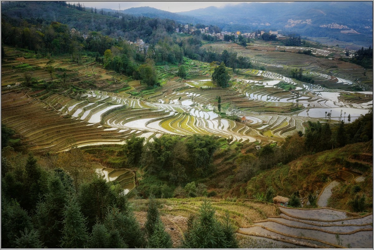 云南梯田小记