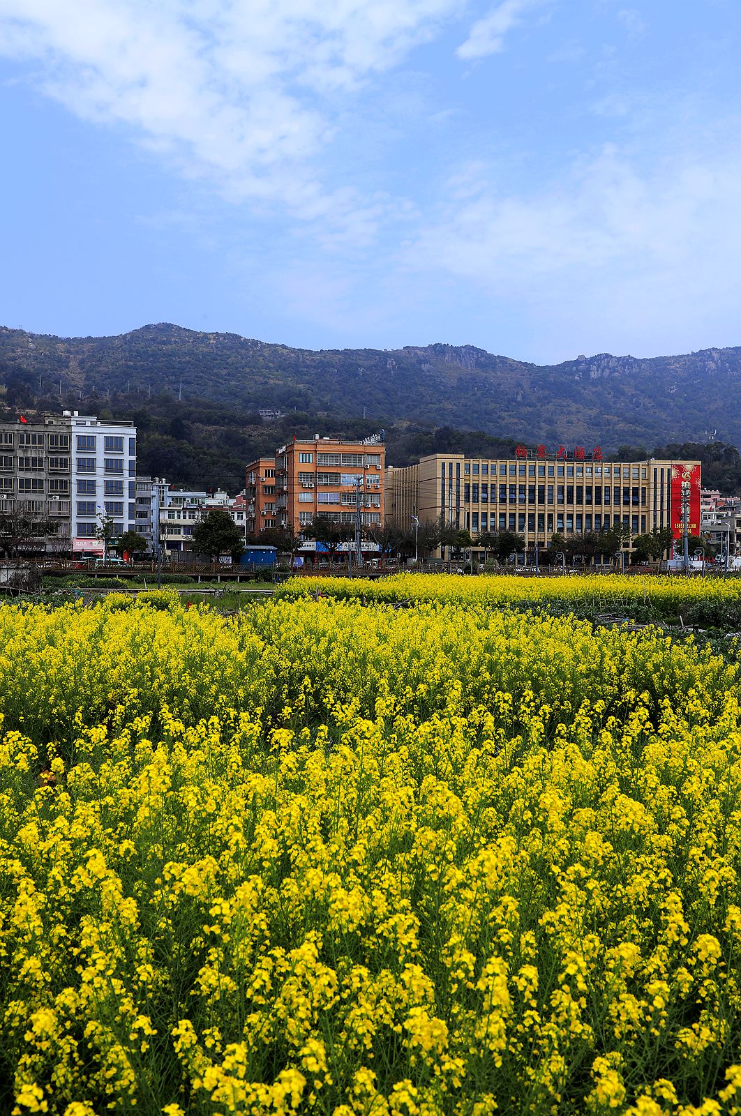 洞头大门岛岙底村(2)
