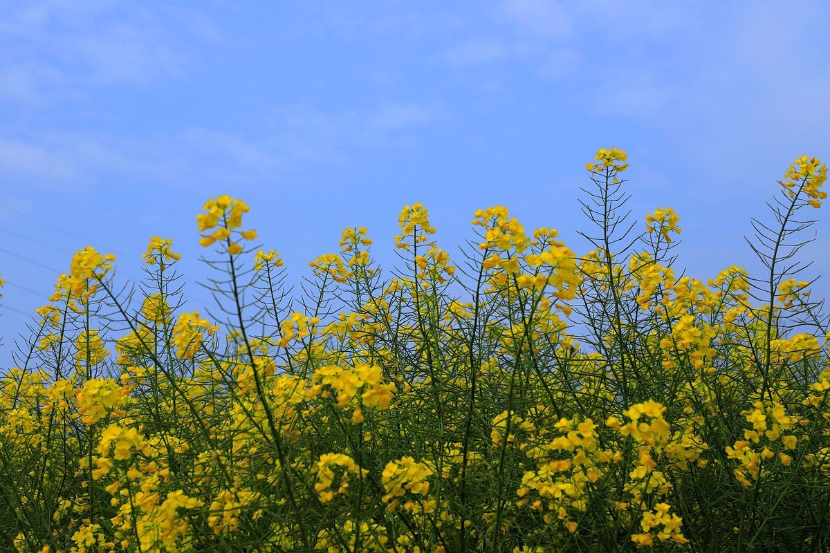 洞头大门岛岙底村(2)