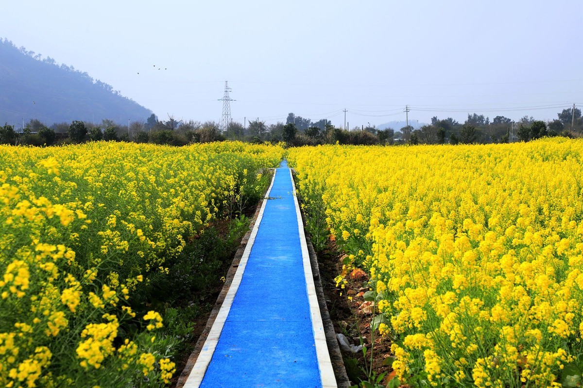 洞头大门岛岙底村(2)