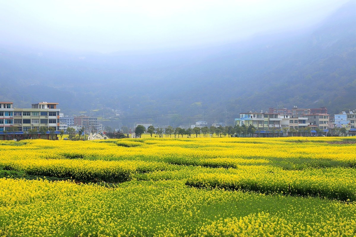 洞头大门岛岙底村(2)