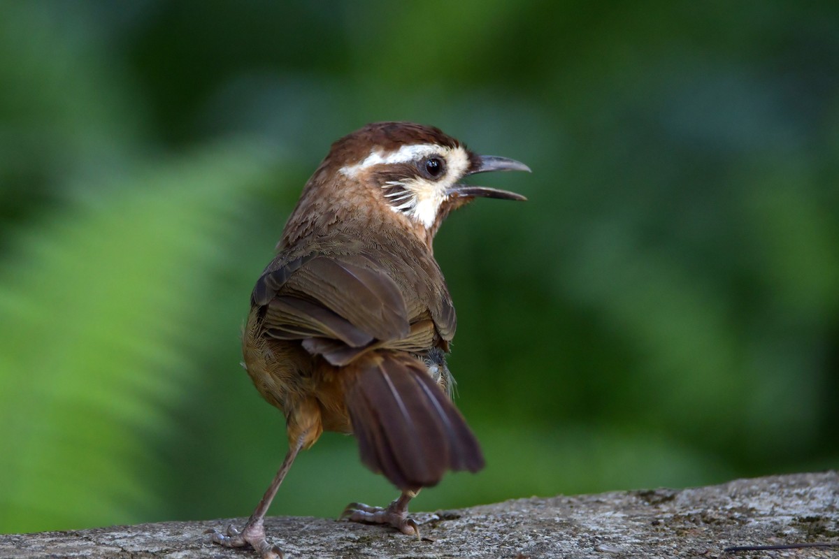继续上次没发出去的照片