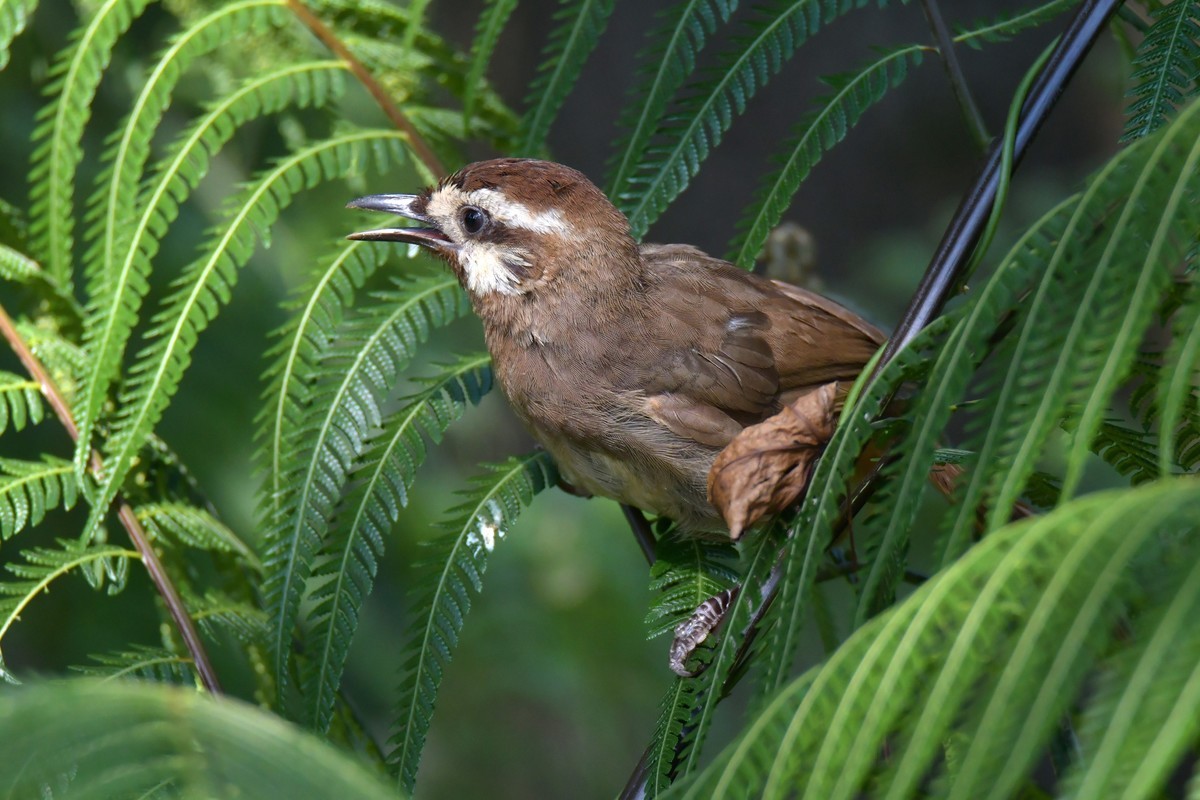 继续上次没发出去的照片