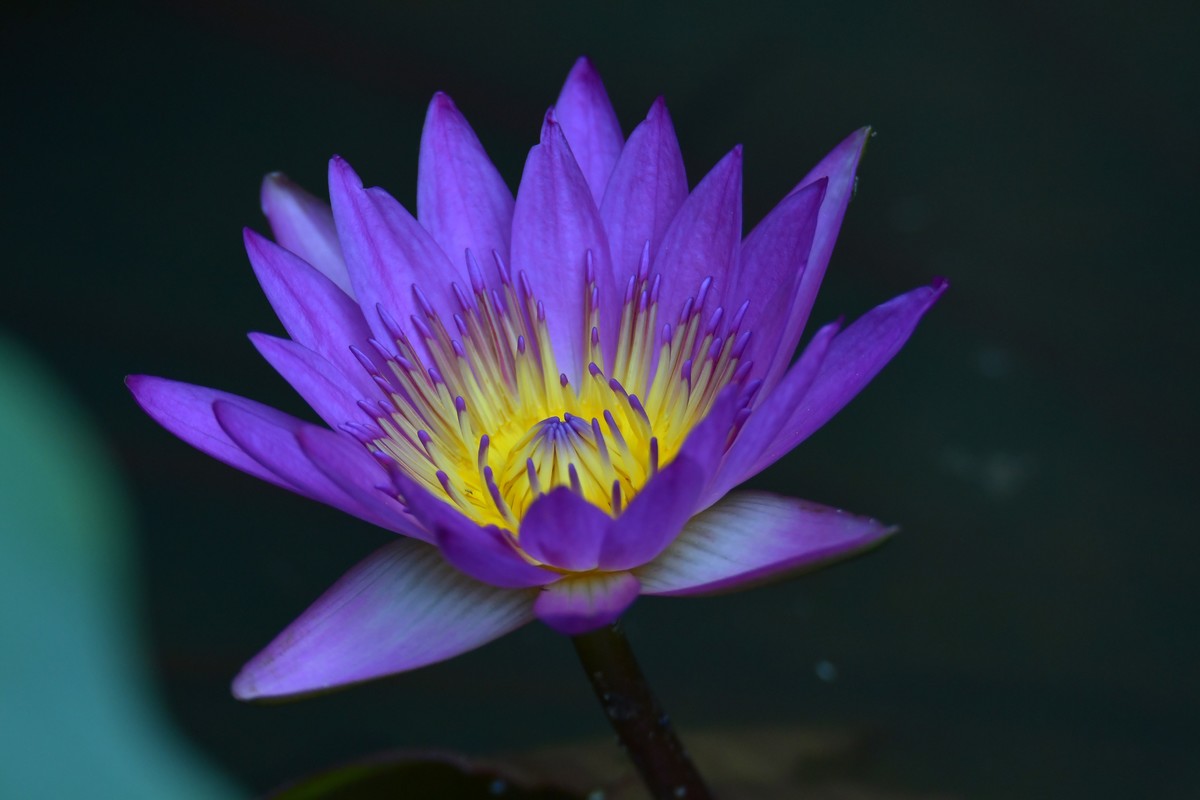 继续上次没发出去的照片