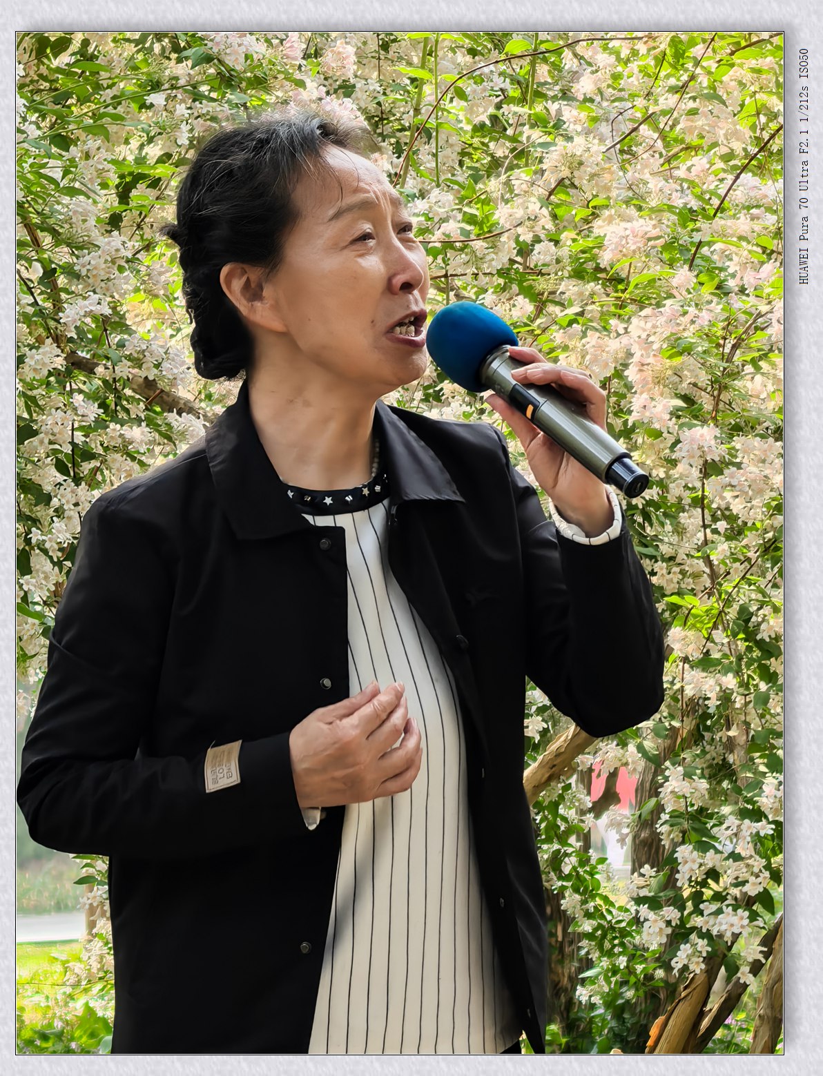 自娱自乐【乙巳年-102】