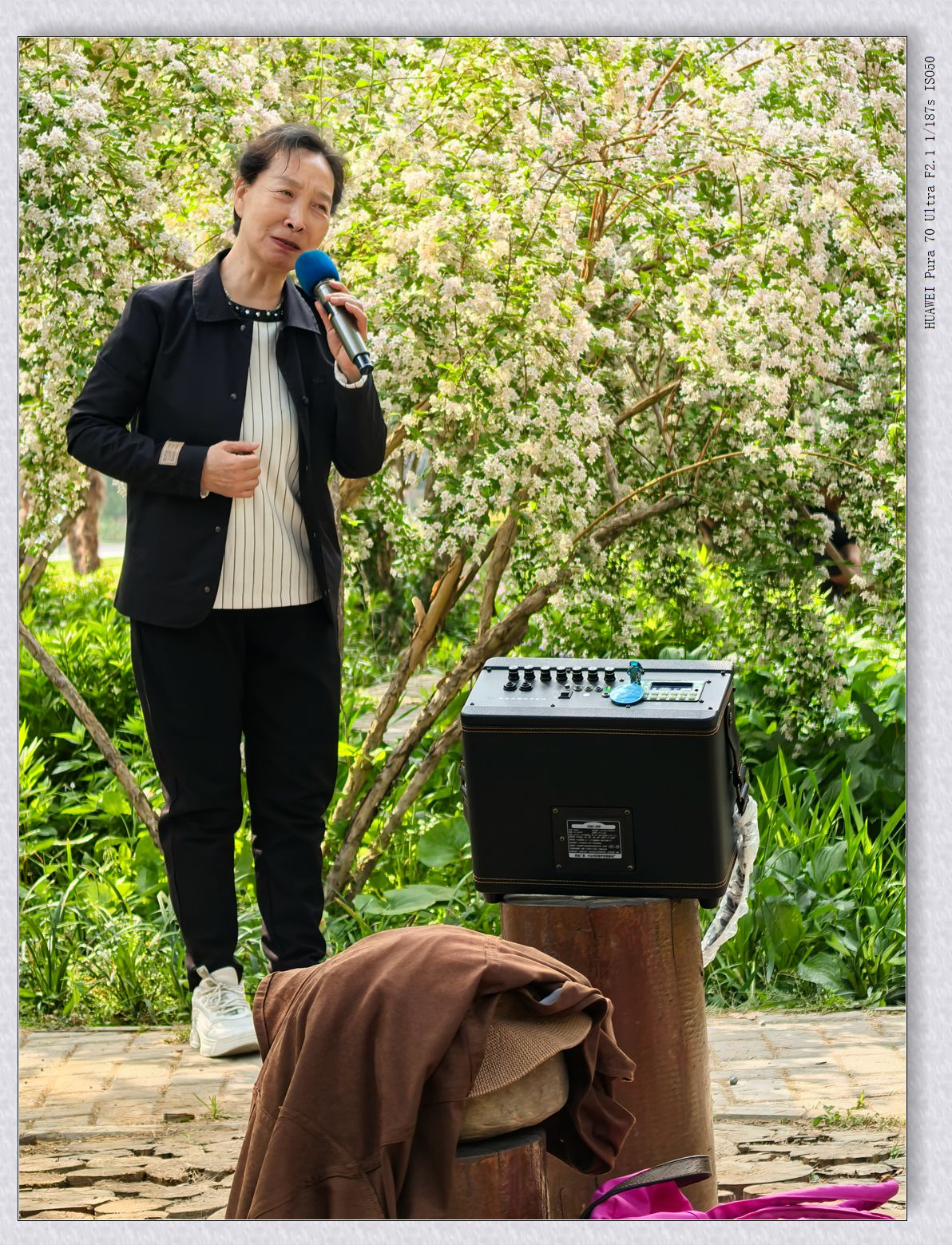 自娱自乐【乙巳年-102】