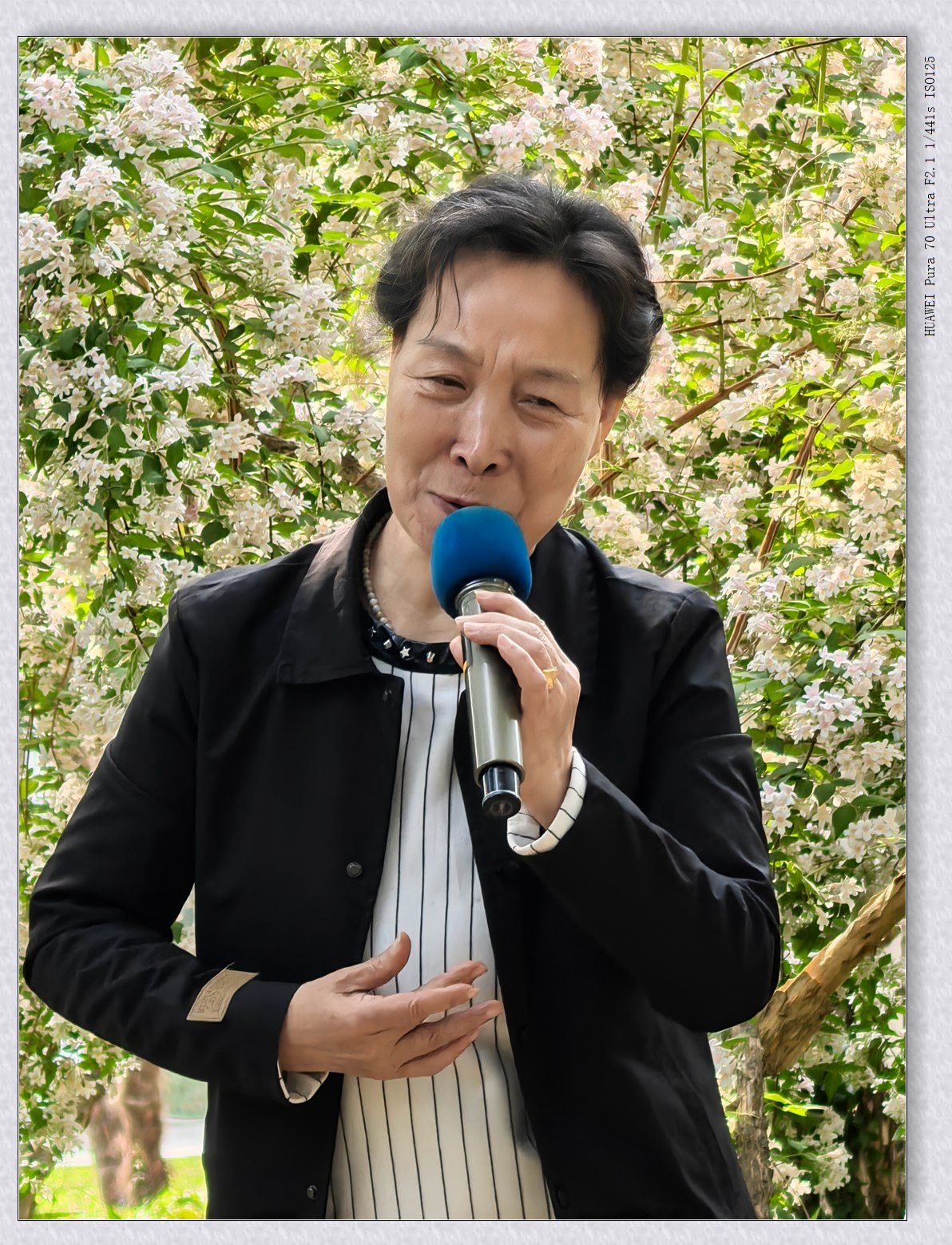 自娱自乐【乙巳年-102】