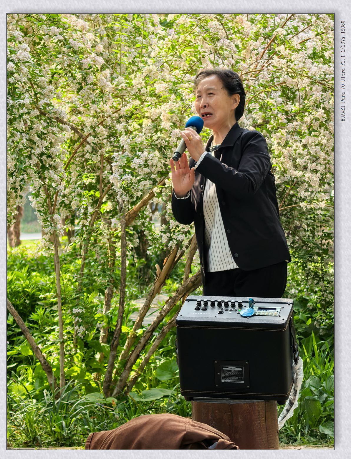 自娱自乐【乙巳年-102】