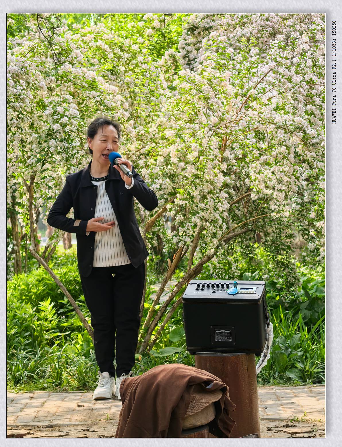 自娱自乐【乙巳年-102】