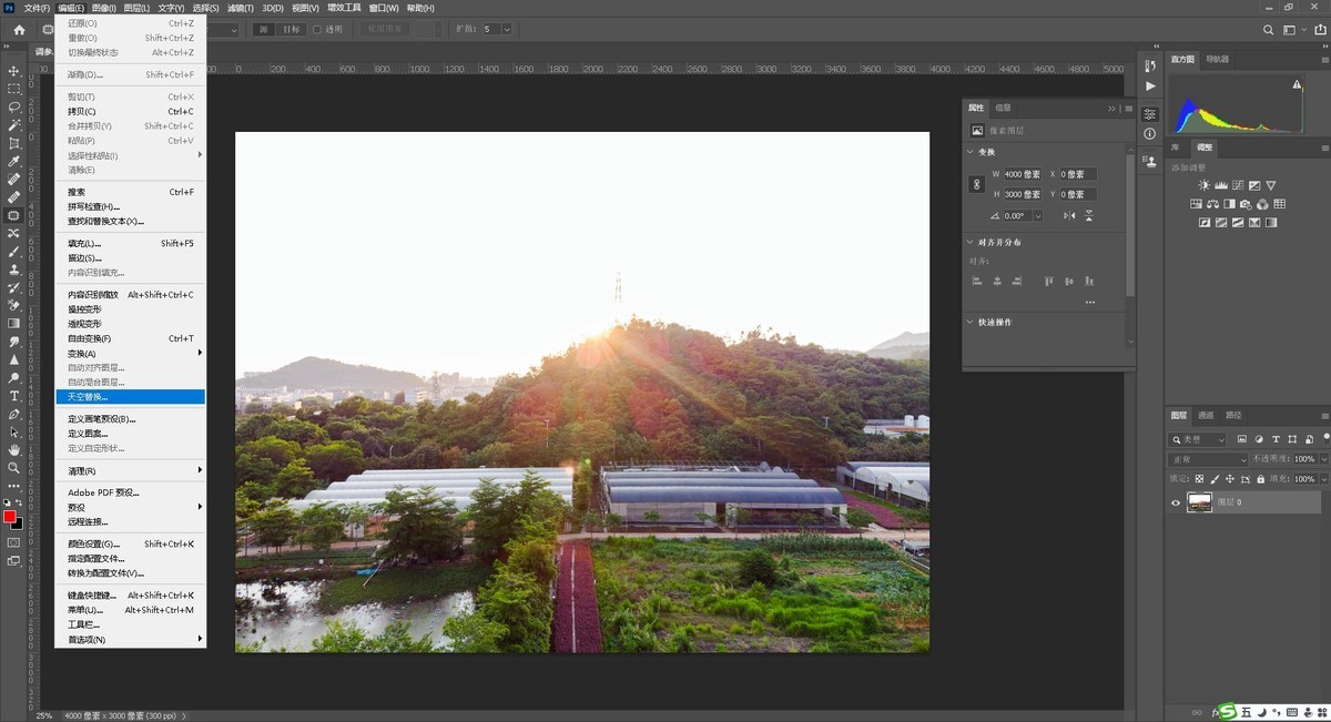 高空视角---番外