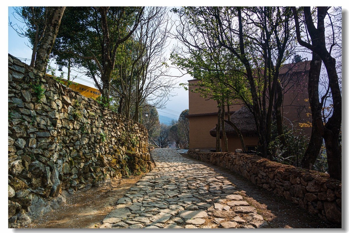 2023云南行一一阿者科村2