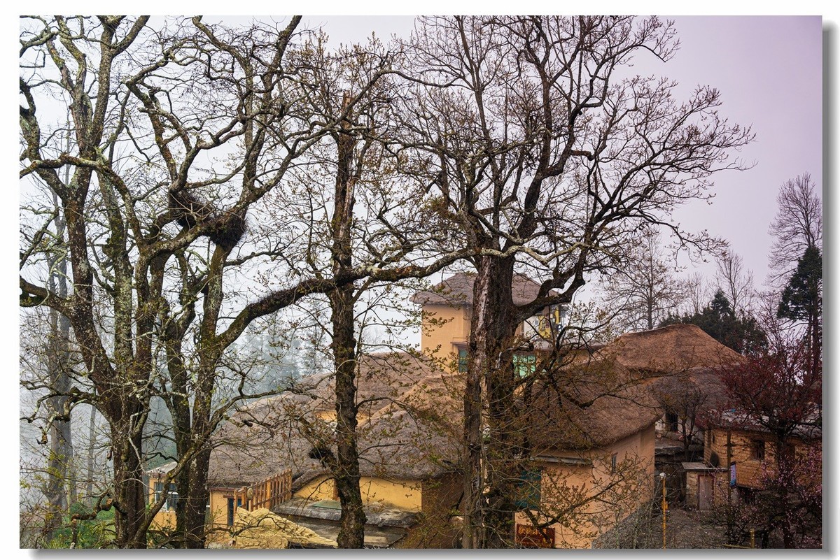 2023云南行一一阿者科村2