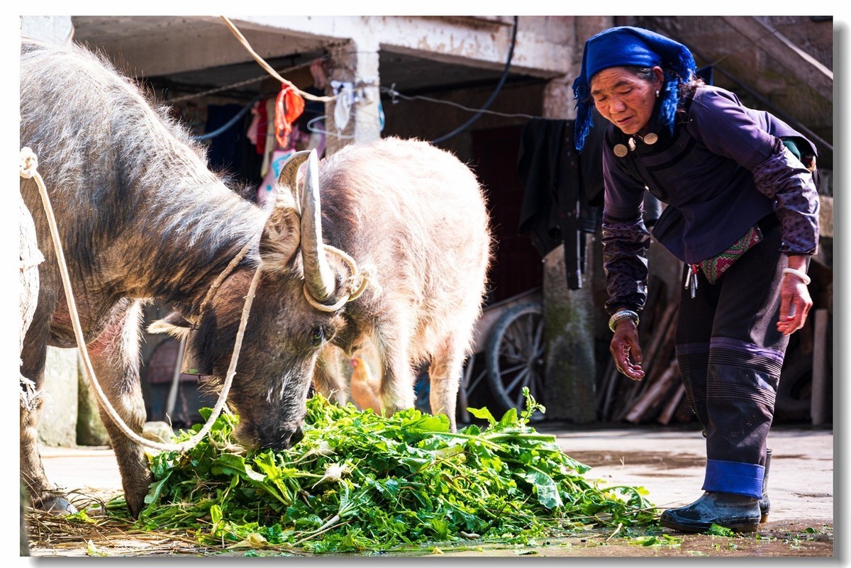2023云南行一一阿者科村2