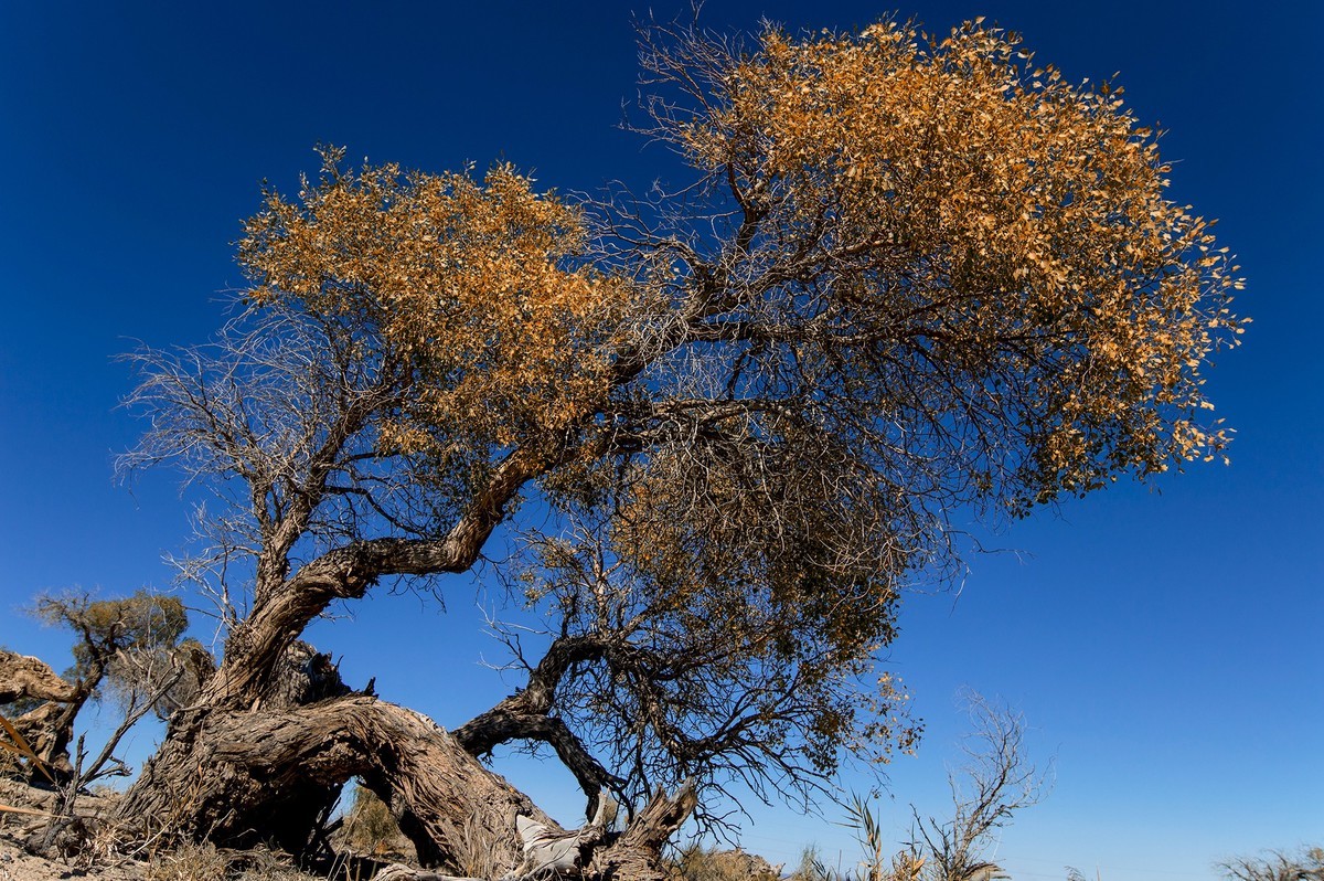 五彩斑斓 深秋暮色