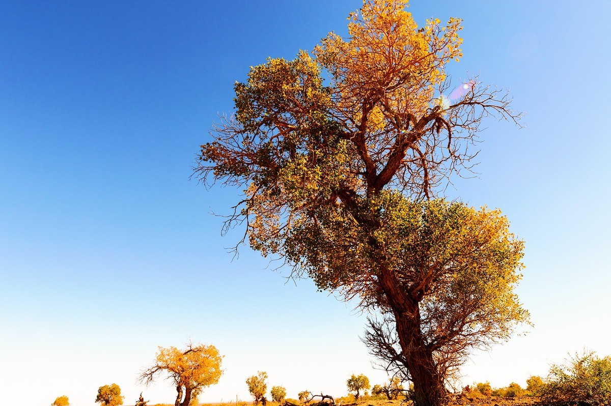 五彩斑斓 深秋暮色