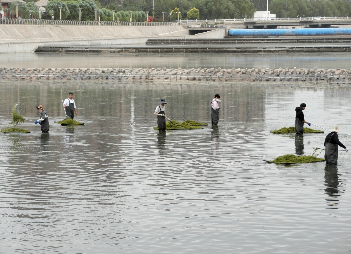 天马湖清理河道的人