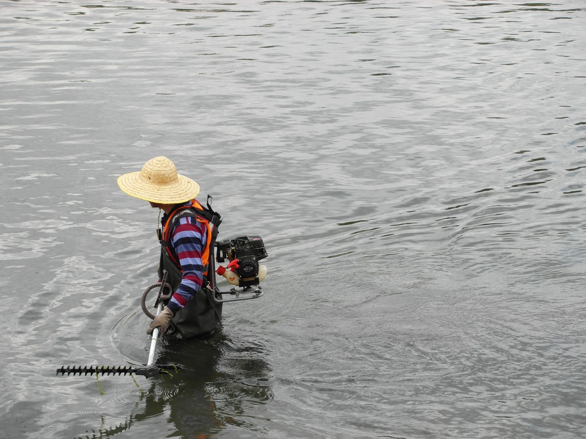 天马湖清理河道的人