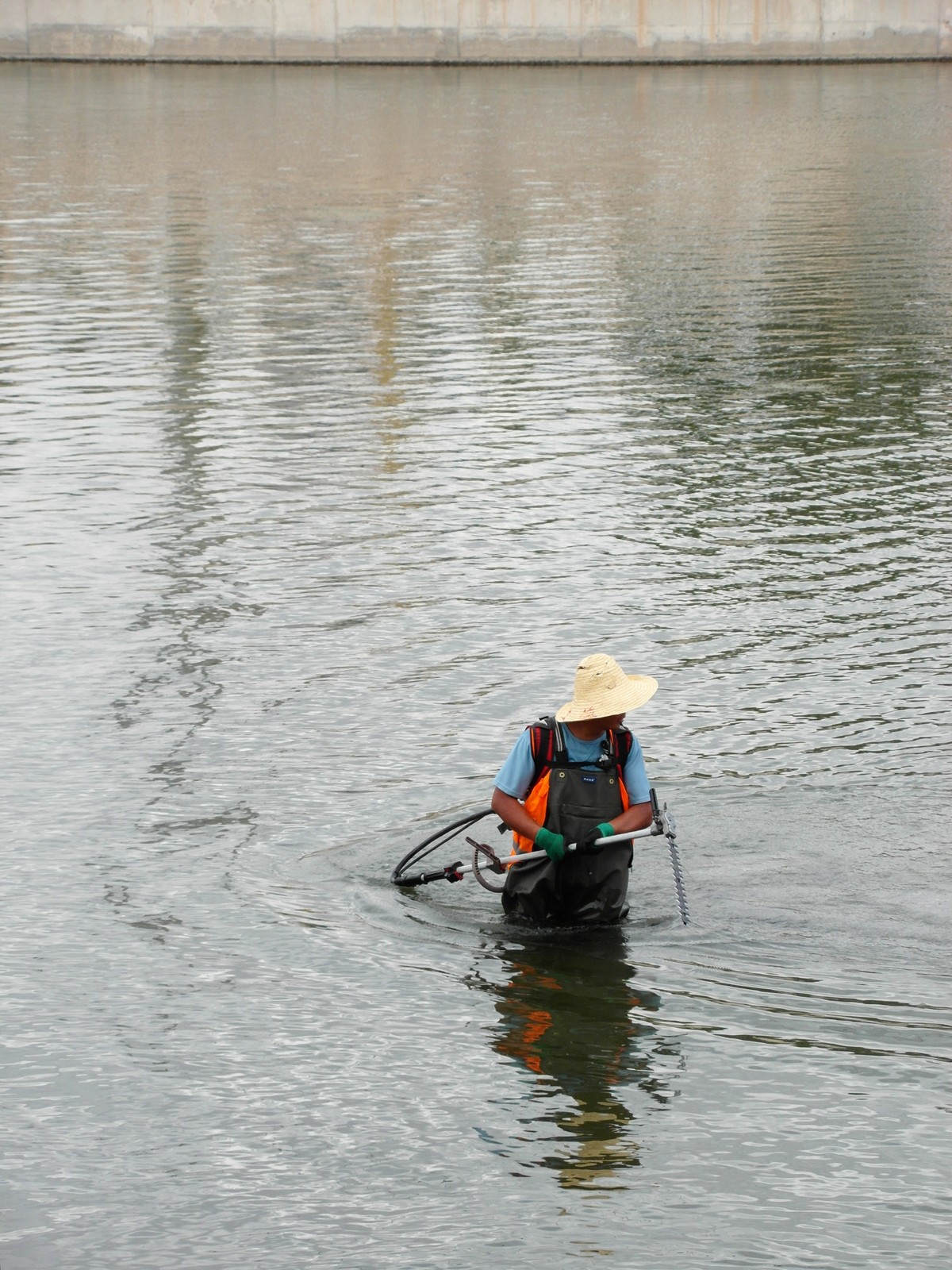 天马湖清理河道的人