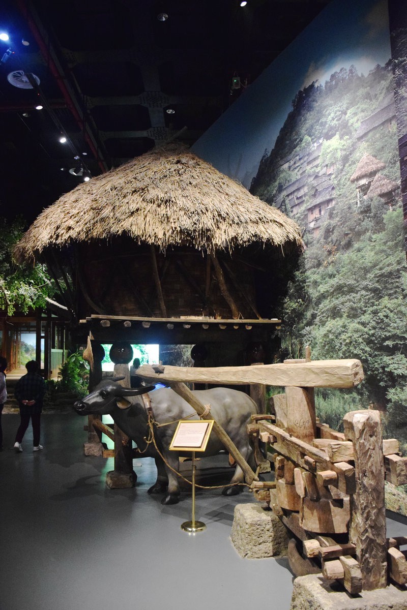 2023夏 黔赣鄂渝川（16）贵州省博物馆