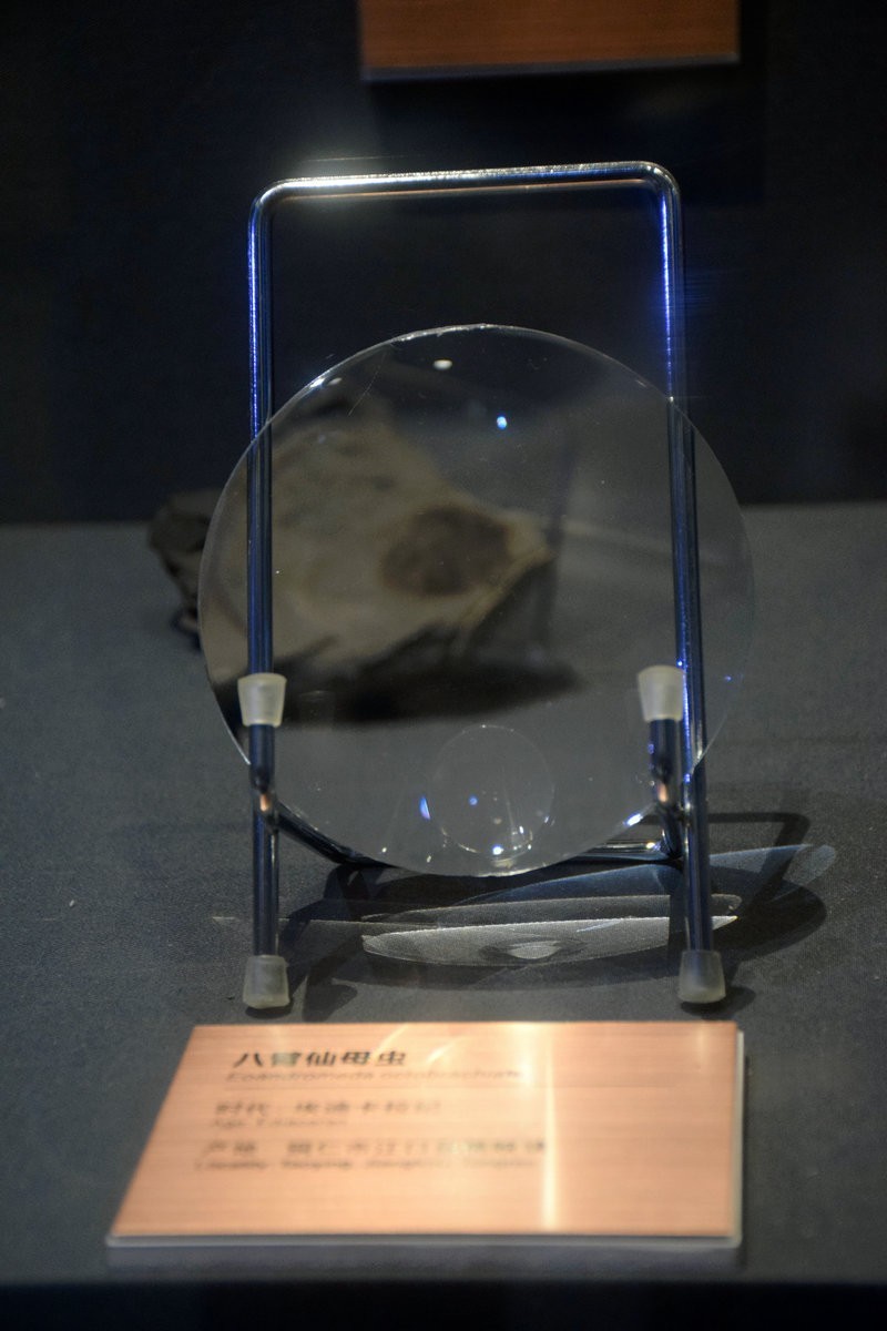 2023夏 黔赣鄂渝川（16）贵州省博物馆